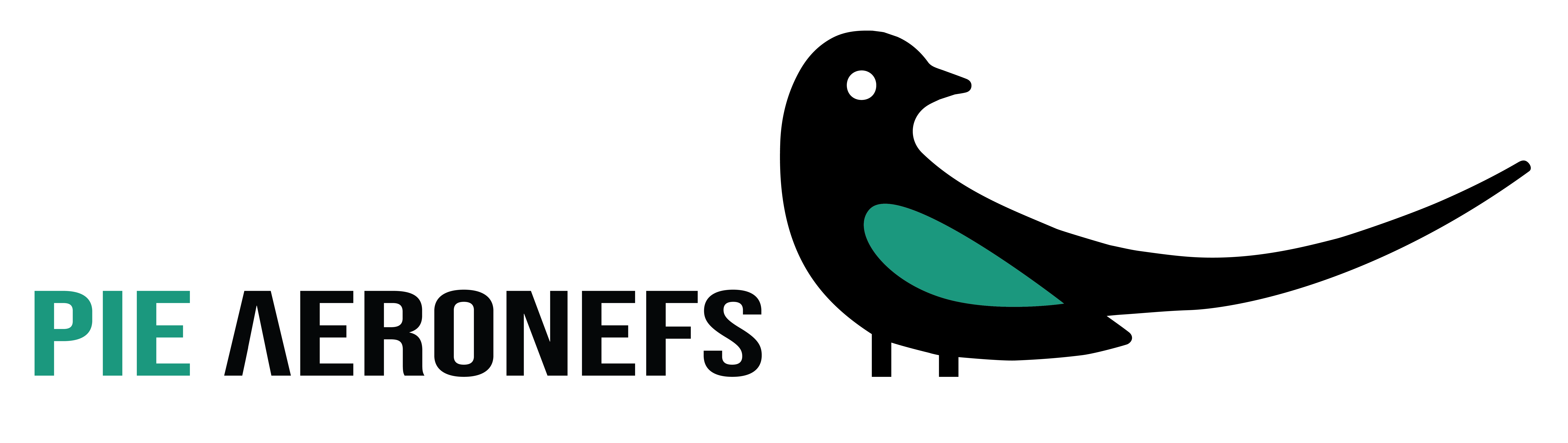 Logo Pie Aeronefs