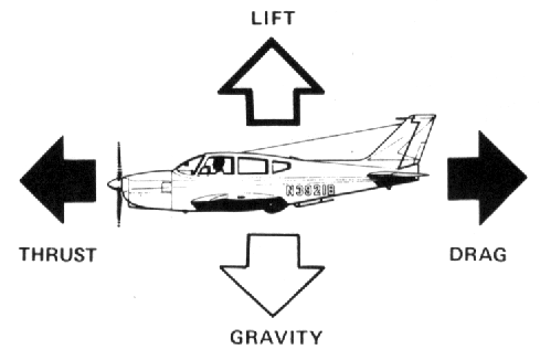 The four forces of flight